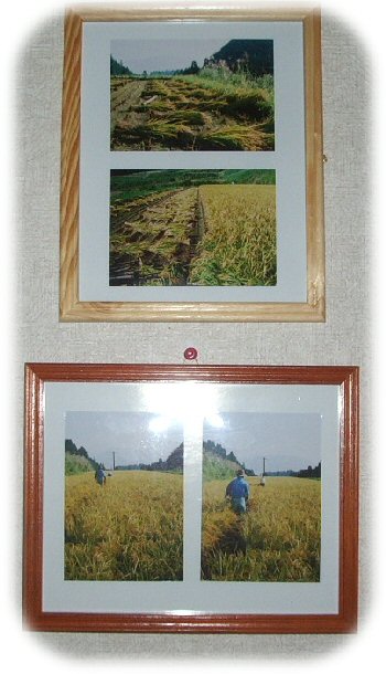 huremu1