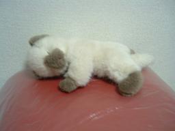 おやすみちゃん