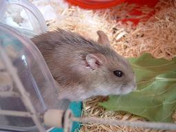 ドライブスルー２