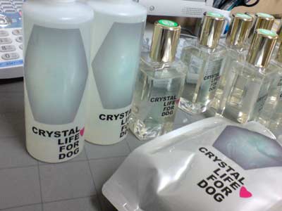 クリスタルライフフォードッグ