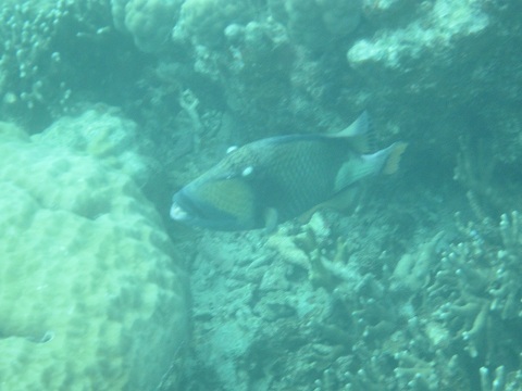 IMG_0792.JPG