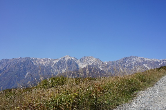 DSC07005.JPG