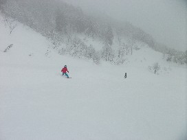 DSCF1248.JPG