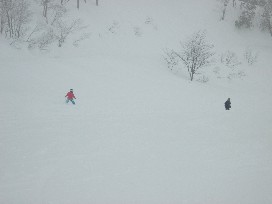 DSCF1249.JPG