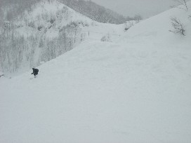 DSCF1250.JPG