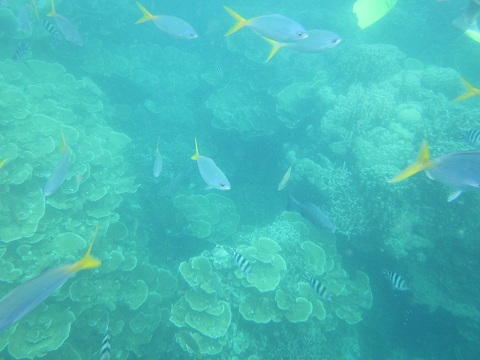 IMG_0595.JPG