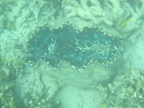 IMG_0742.JPG