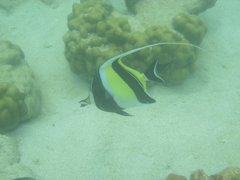 IMG_0752.JPG