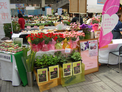 20080504大道華香園