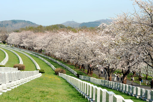 桜のシーズン臨時バス運行 戸田記念墓地公園 再任用楽天生活 楽天ブログ