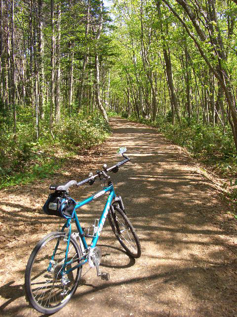 20080511森林公園