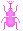 カブト虫