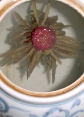 jasmine tea