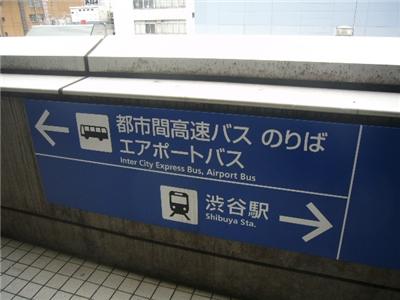 案内に従って直進