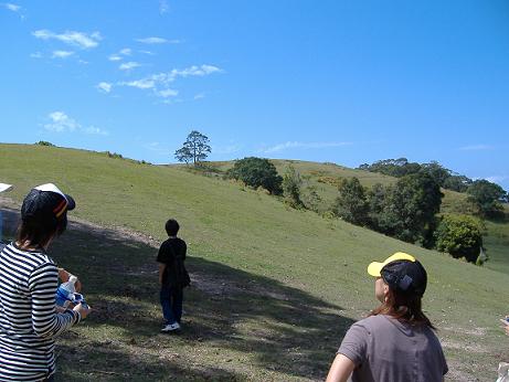 ブッシュウォーキング