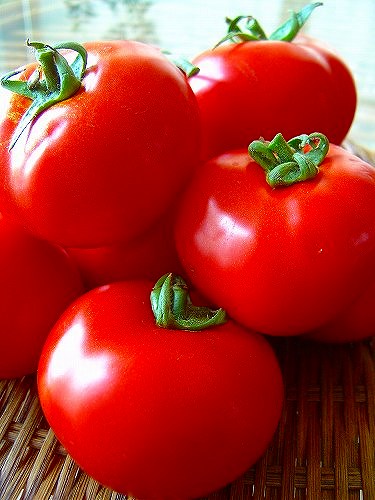 トルコのトマト