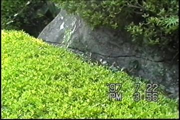薩摩半 島バスツアーNO.119「知覧武家屋敷」w巨岩の継ぎ目