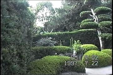 薩摩半 島バスツアーNO.127「知覧武家屋敷」E　佐多直忠氏邸の主庭。