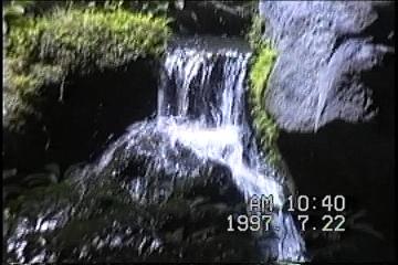 薩摩半島バスツアーNO.２９中庭池泉の一部拡大