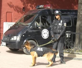 警察犬