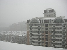 2009初雪２