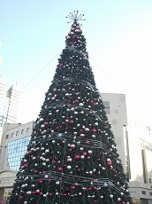 2009X'mas3