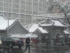 2009初雪１4