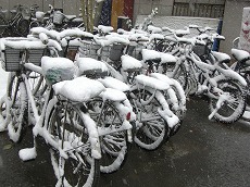 2009初雪４