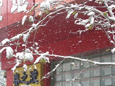 2009初雪６