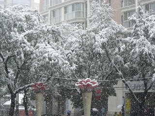 2009初雪８