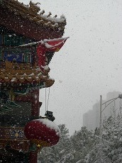 2009初雪９