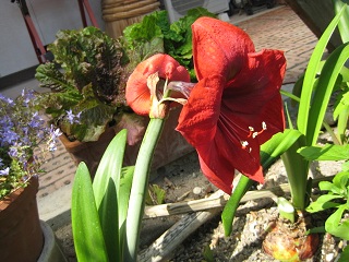 IMG_1230.JPG