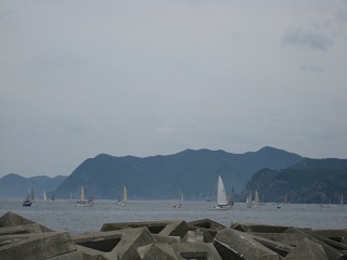IMG_1377.JPG