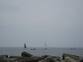 IMG_1388.JPG