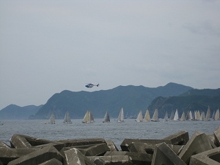 IMG_1390.JPG