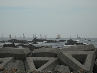 DSCF8022.JPG