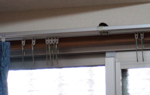 カブトカーテンレール