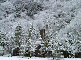 朝の景色