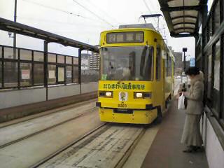 P1000235.JPG