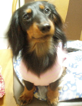 060408-2.jpg