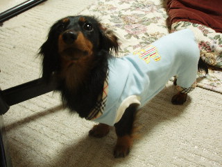 060403-1.jpg
