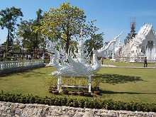 White wat 3