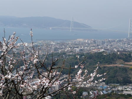 風景