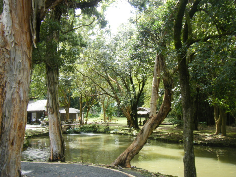 DSCF2365.JPG