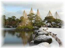 金沢兼六園雪吊り