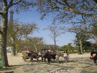 horsebackriding