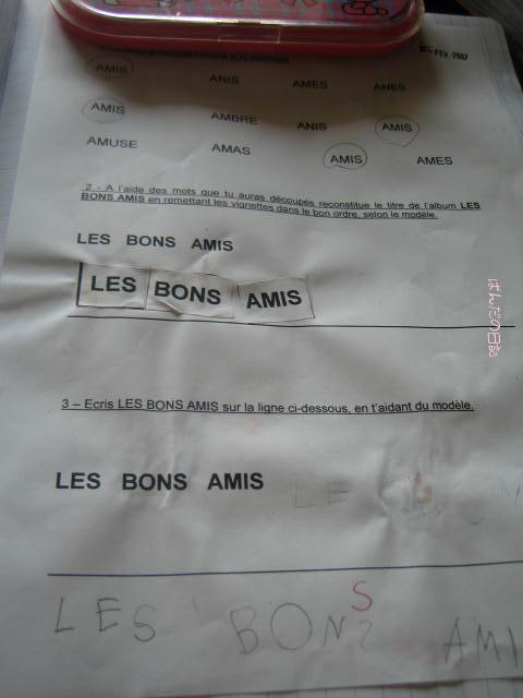 lesbonamis