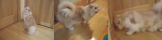 点検中の風たん.jpg