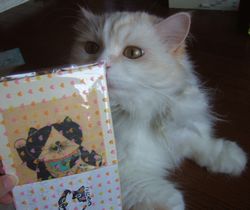 思わぬﾌﾟﾚｾﾞﾝﾄｰ絵ﾊｶﾞｷと.jpg