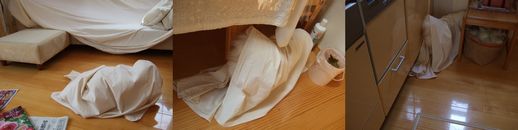 白い物体化する風たん_2.jpg